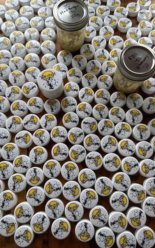Mr Miyagi Black Belt Hash